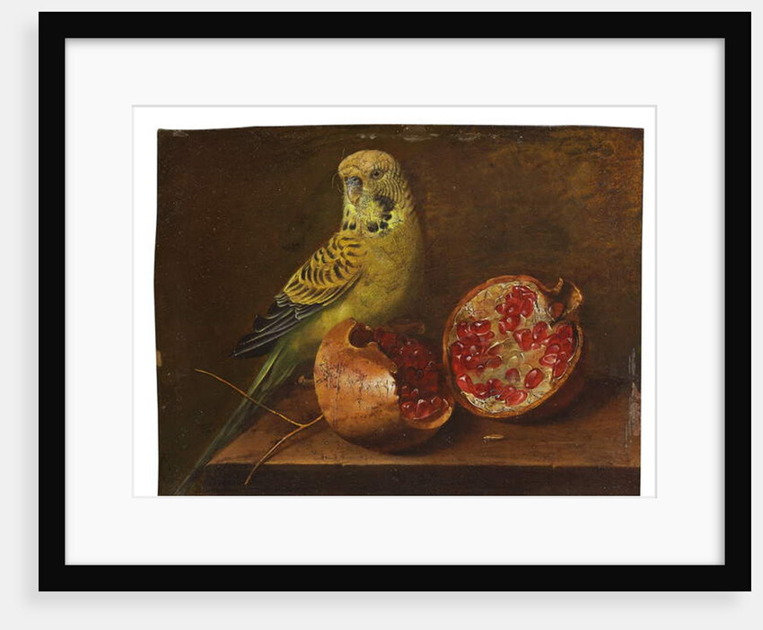 A parakeet and a pomegranate on a ledge by French School