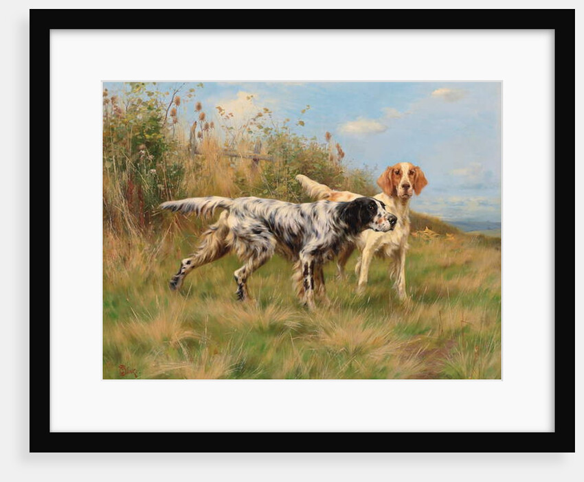 Two English setters by Thomas Blinks