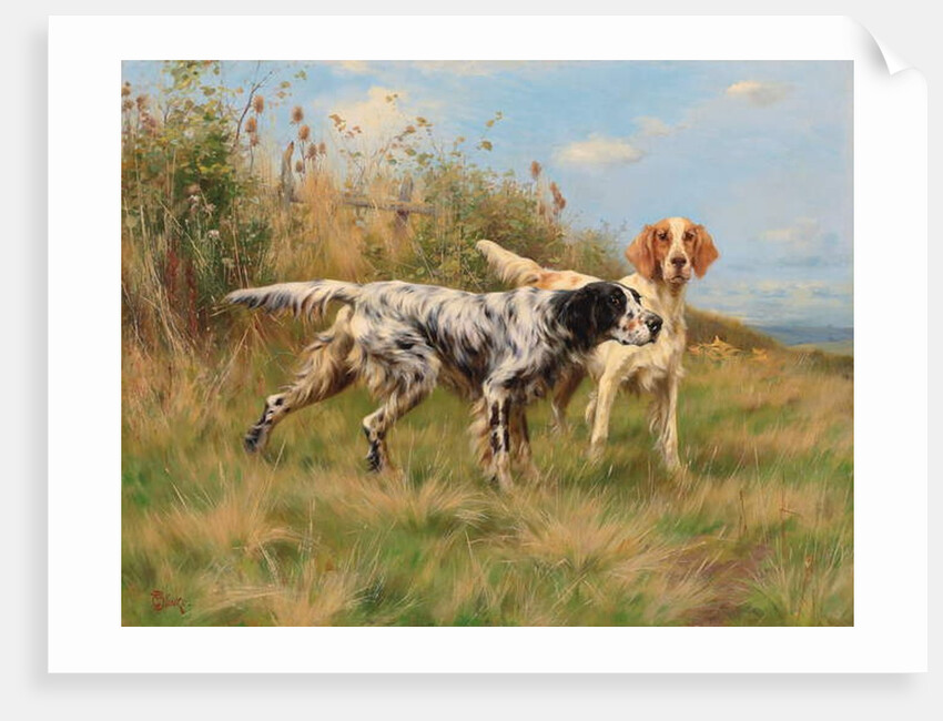 Two English setters by Thomas Blinks