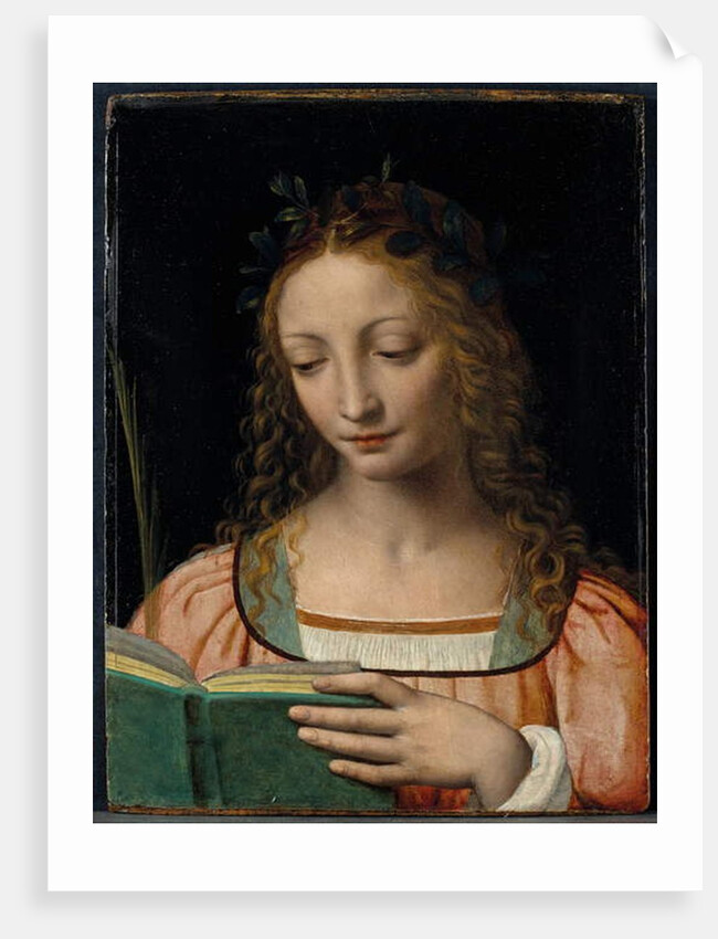 Bust length figure of saint, with a palm and reading the scriptures by Bernardino Luini