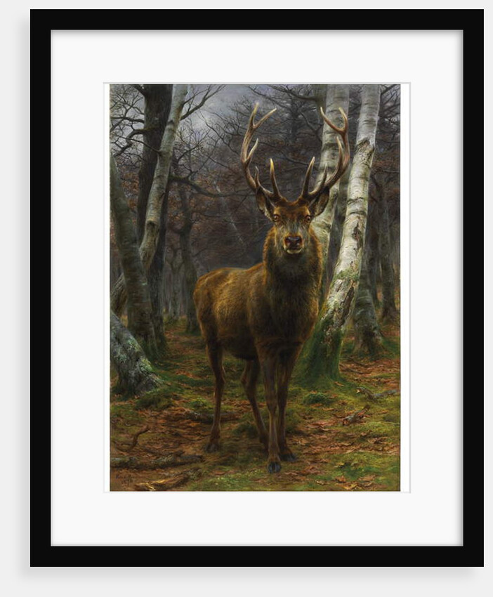 King of the Forest, 1878 by Rosa Bonheur