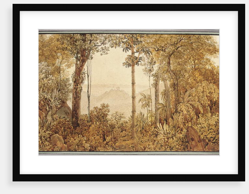 View overlooking Rio de Janeiro from the Tijuca forest by Thomas Ender