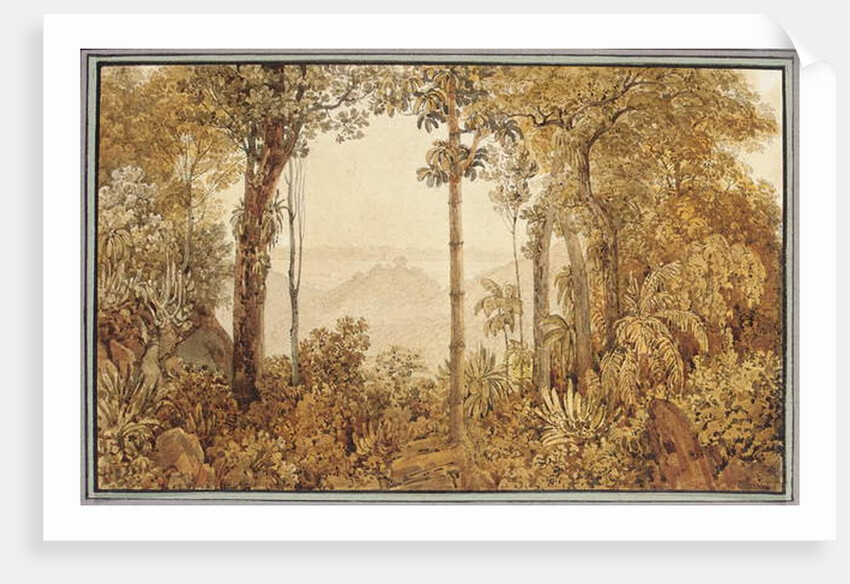 View overlooking Rio de Janeiro from the Tijuca forest by Thomas Ender