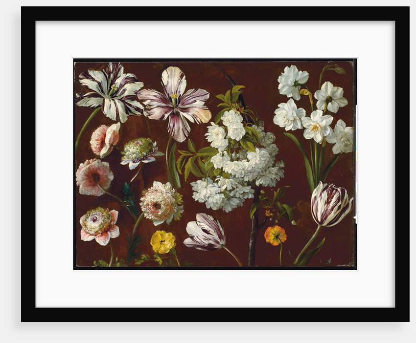 Purple tulips, white flowering prunus, narcissus and pink chrysanthemum by Pancrace Bessa