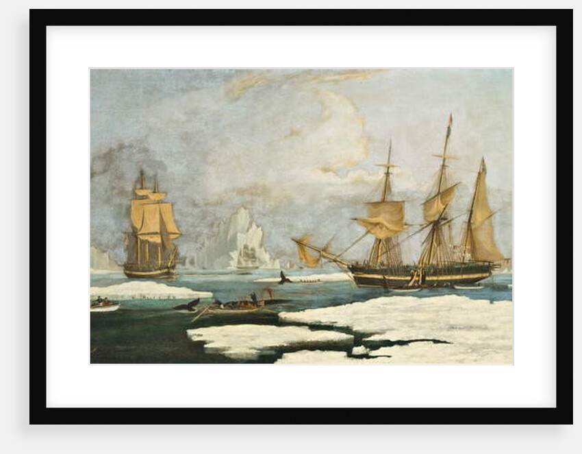 The Northern Whale Fishery by William John Huggins