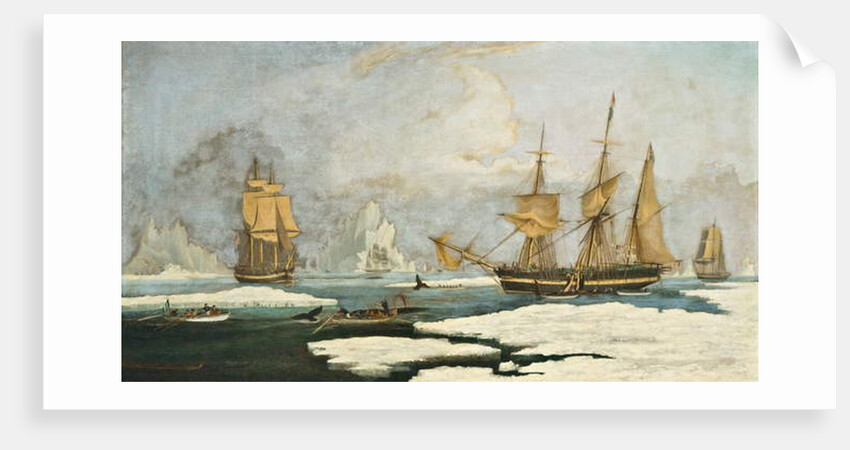 The Northern Whale Fishery by William John Huggins