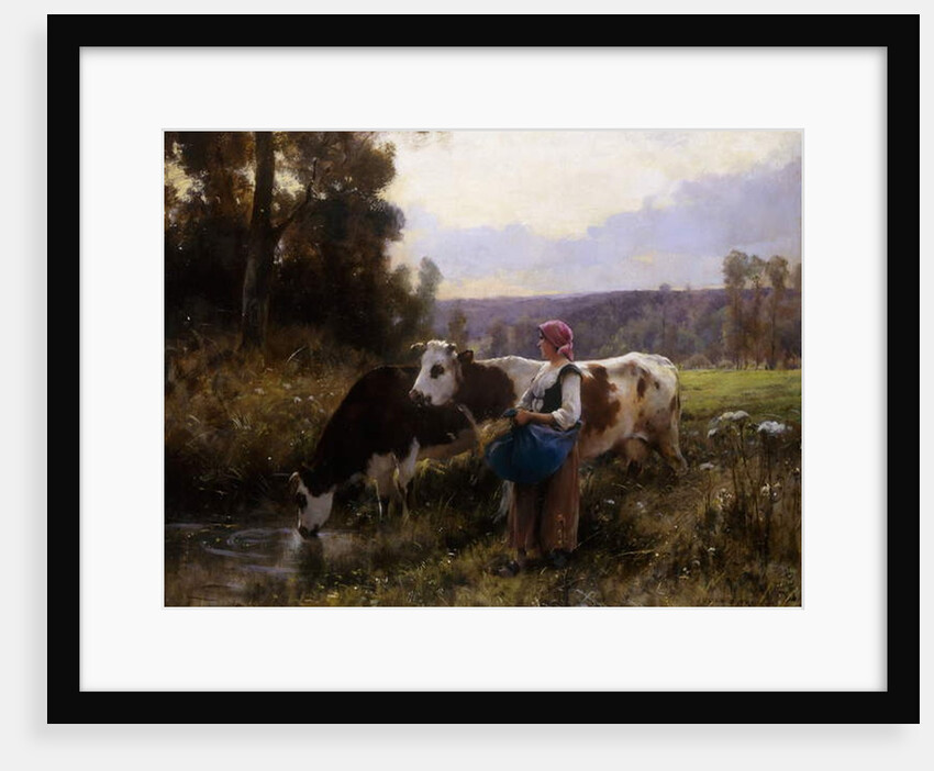 Cows at the Watering Hole by Julien Dupre