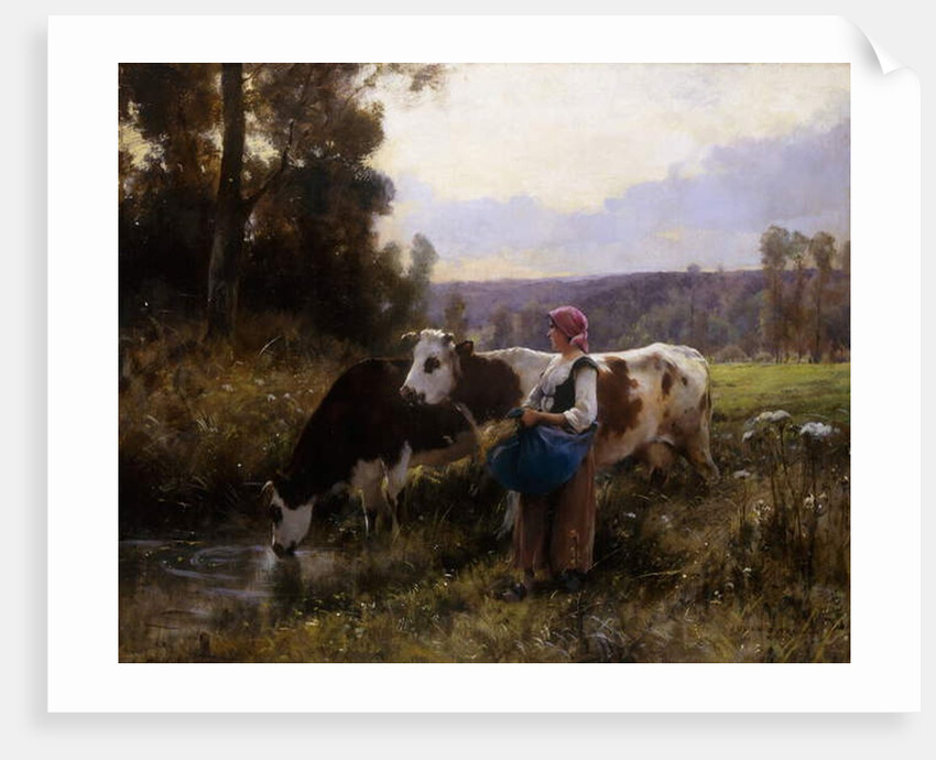 Cows at the Watering Hole by Julien Dupre
