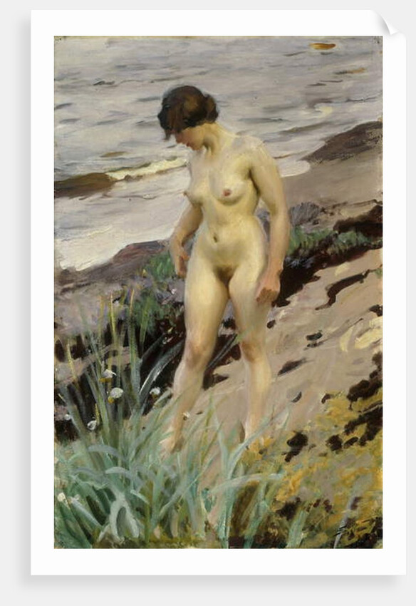 Sandhamn Study, 1914 by Anders Leonard Zorn