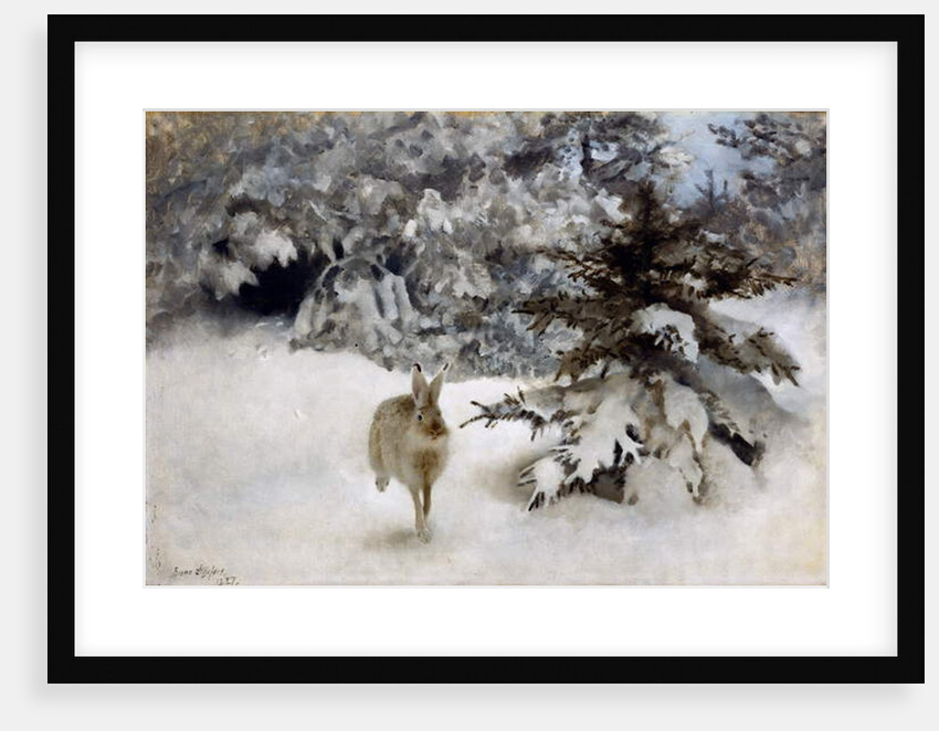 A Hare in the Snow, 1927 by Bruno Andreas Liljefors