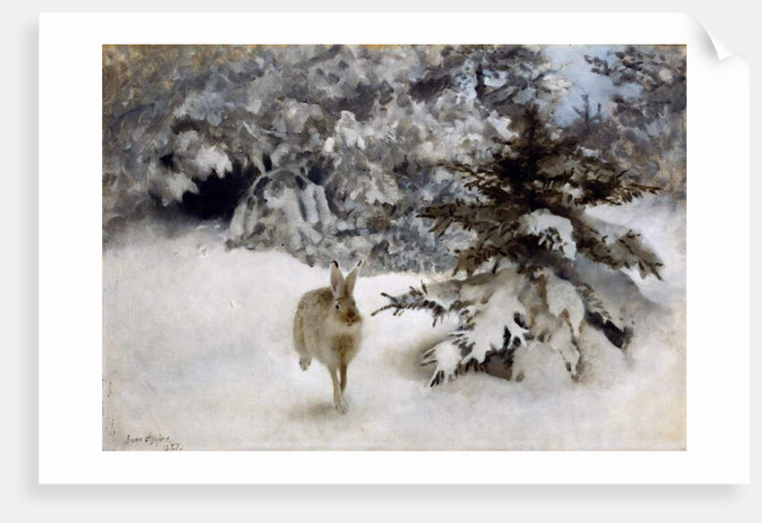 A Hare in the Snow, 1927 by Bruno Andreas Liljefors