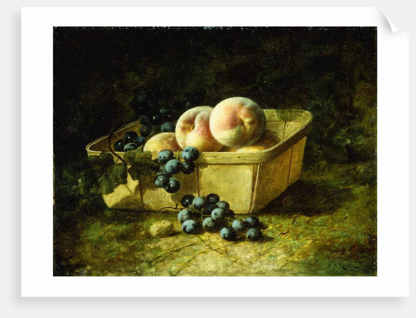 Peaches and Grapes by Carducius Plantagenet Ream