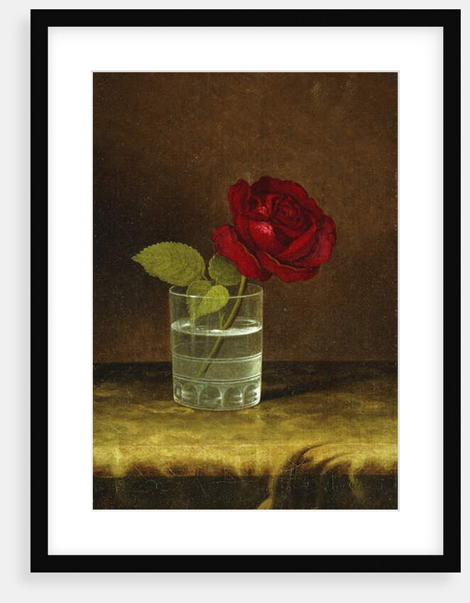 A Red Rose, by Martin Johnson Heade