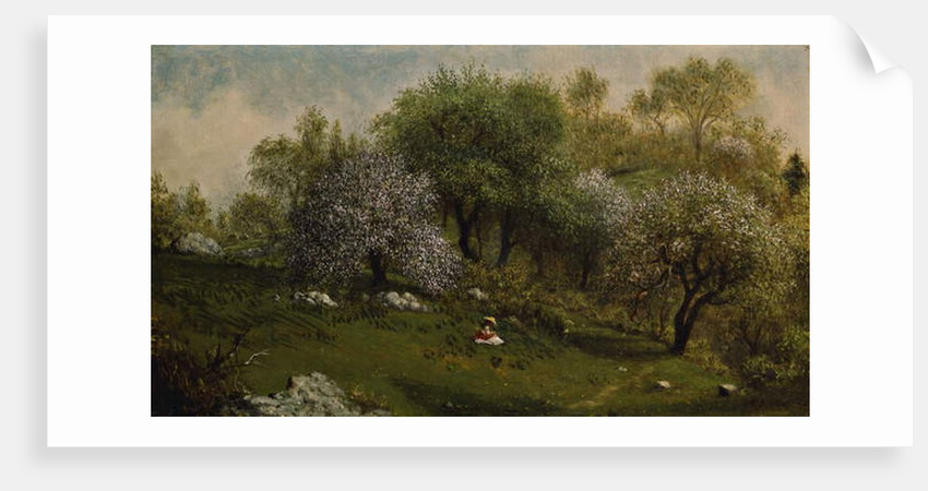 Girl on a Hillside, Apple Blossoms, 1874 by Martin Johnson Heade