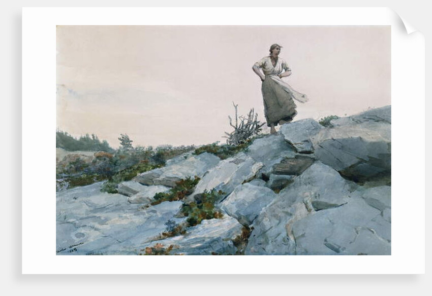 The Faggot Gatherer, 1883 by Winslow Homer