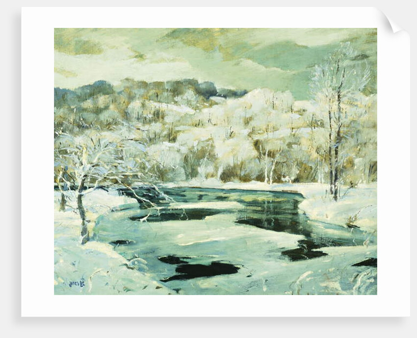 Frosted Trees by Jonas Lie