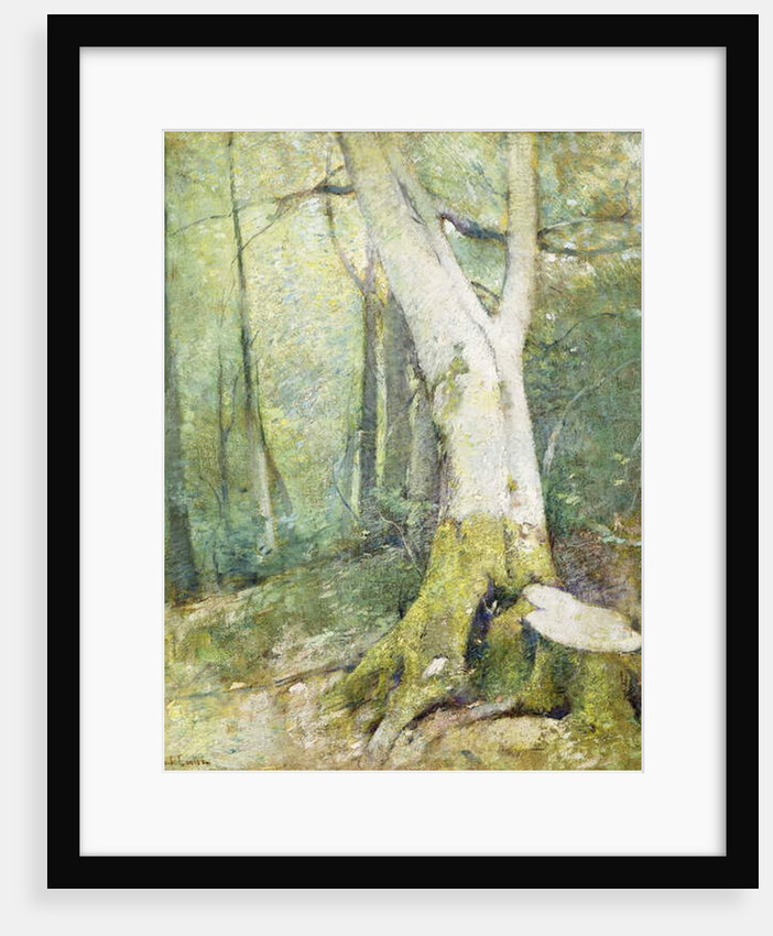 Interior Woodland by Emil Carlsen