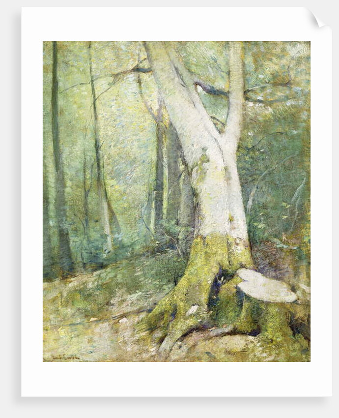 Interior Woodland by Emil Carlsen