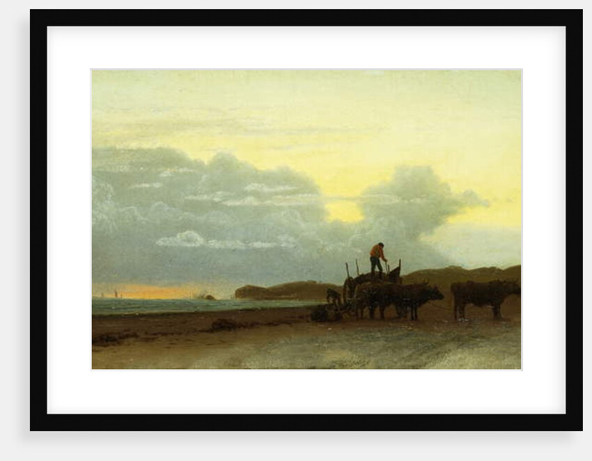 Coastal View, Newport, 1861 by Albert Bierstadt