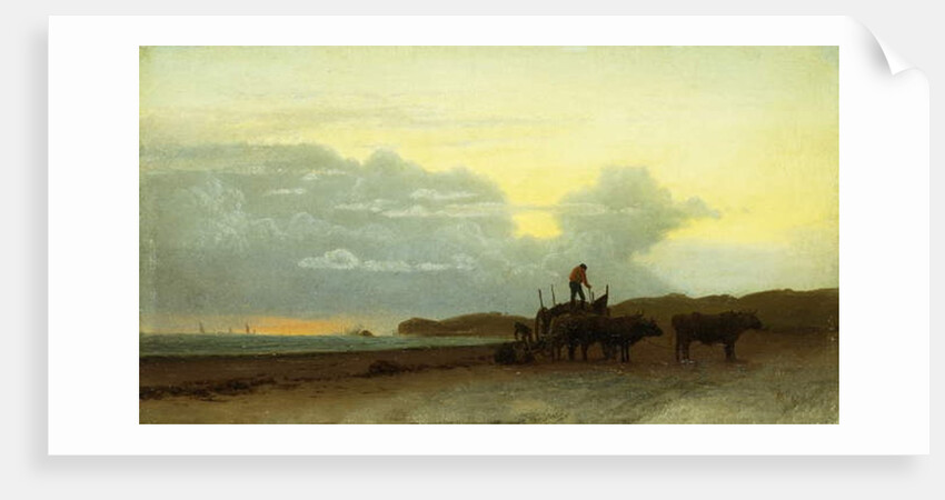 Coastal View, Newport, 1861 by Albert Bierstadt