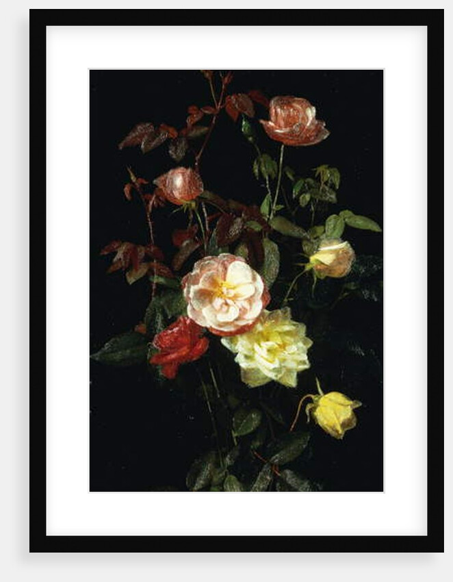 Roses, 1878 by George Cochran Lambdin