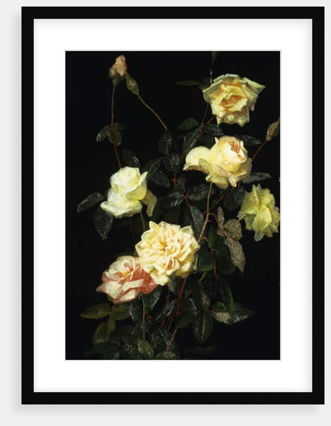 Roses, 1878 by George Cochran Lambdin
