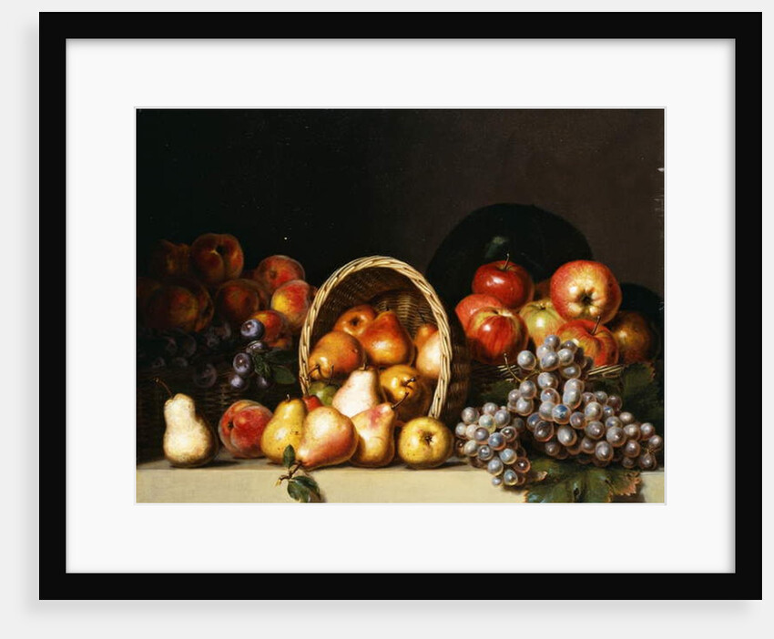 Apples, Pears, Plums and Grapes by Charles Bird King