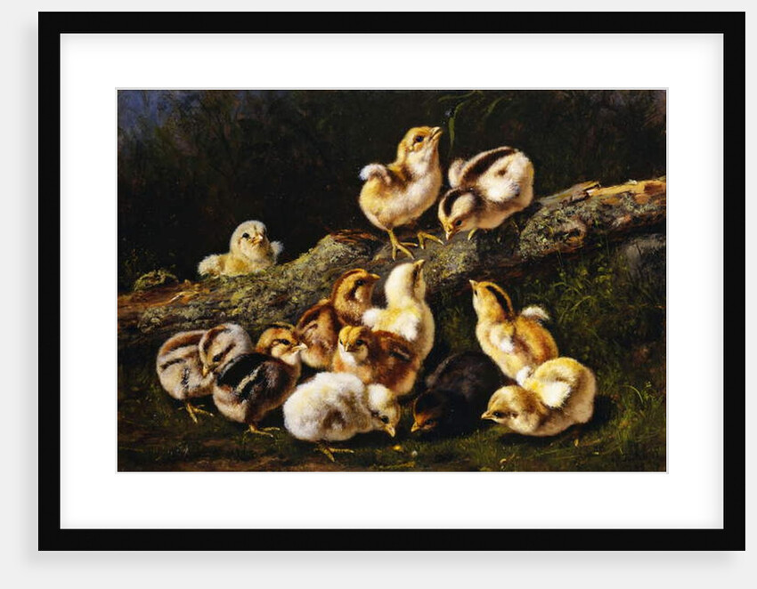 Little Pets, 1899 by Arthur Fitzwilliam Tait