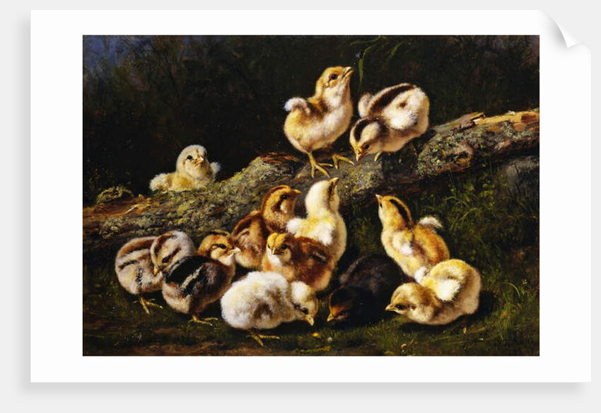 Little Pets, 1899 by Arthur Fitzwilliam Tait