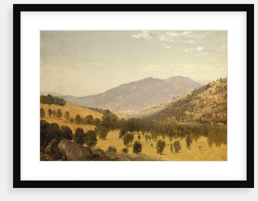 Bergen Park, Colorado by John Frederick Kensett