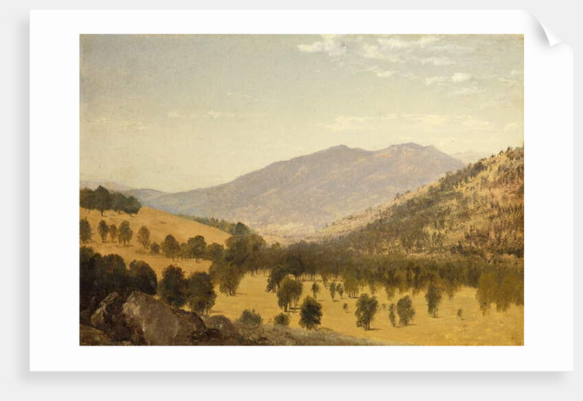 Bergen Park, Colorado by John Frederick Kensett