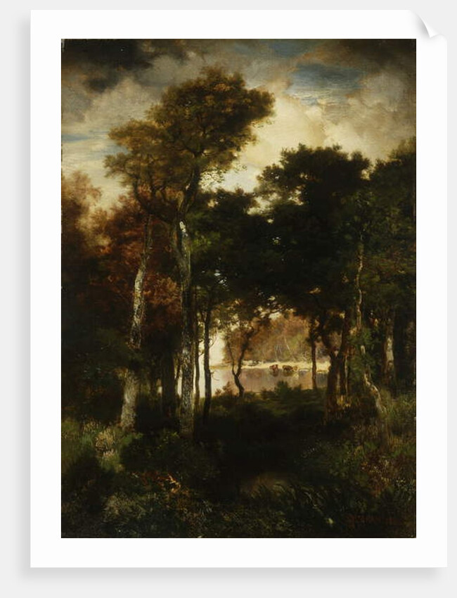 Woods by a River, 1886 by Thomas Moran