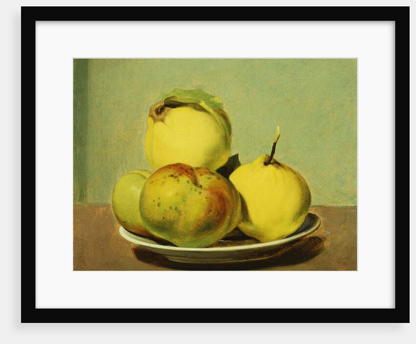 Dish of Apples and Quinces by David Johnson