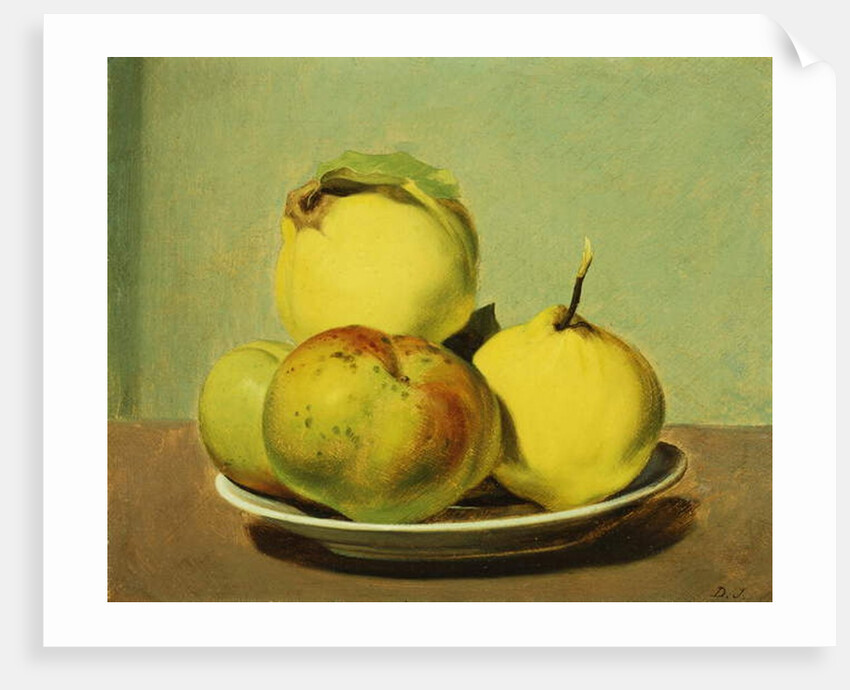Dish of Apples and Quinces by David Johnson
