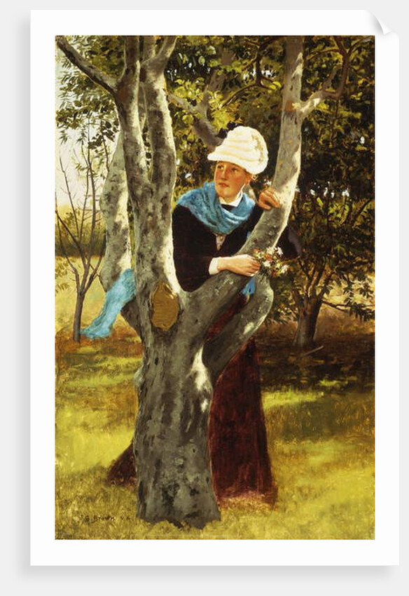Among the Trees by John George Brown