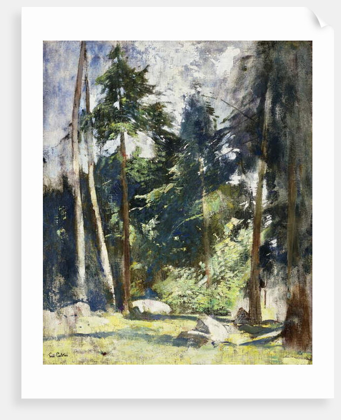 Tall Pines by Emil Carlsen