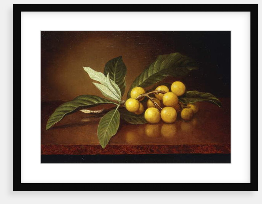 Tropical Plums by Martin Johnson Heade