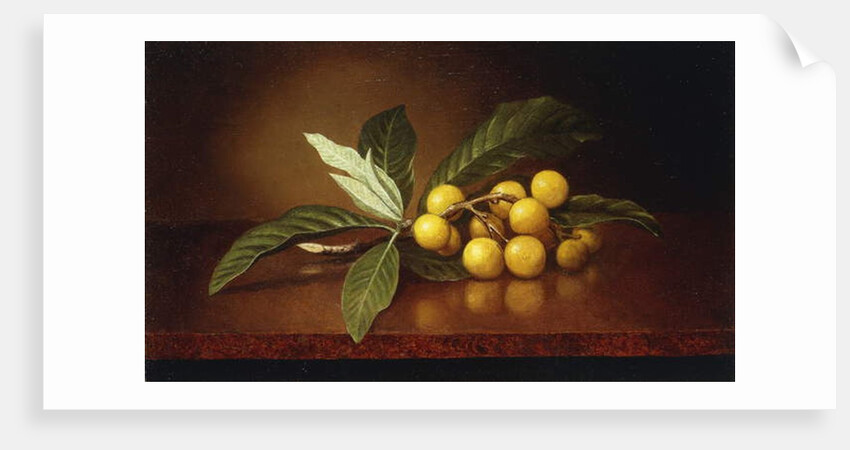 Tropical Plums by Martin Johnson Heade