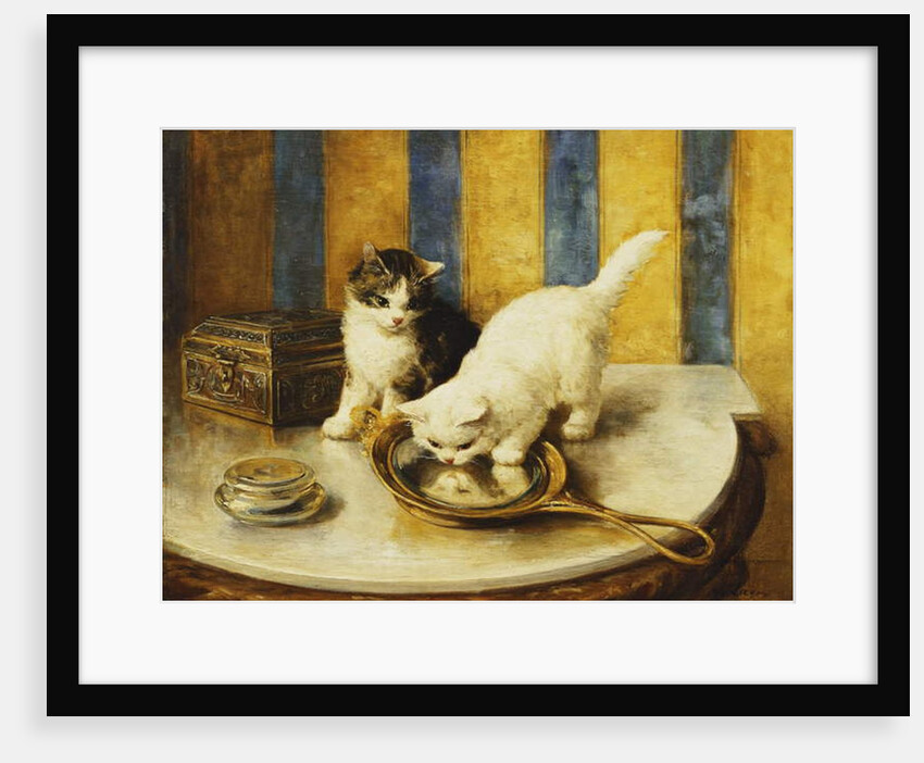 Feline Reflections by Marie Yvonne Laur