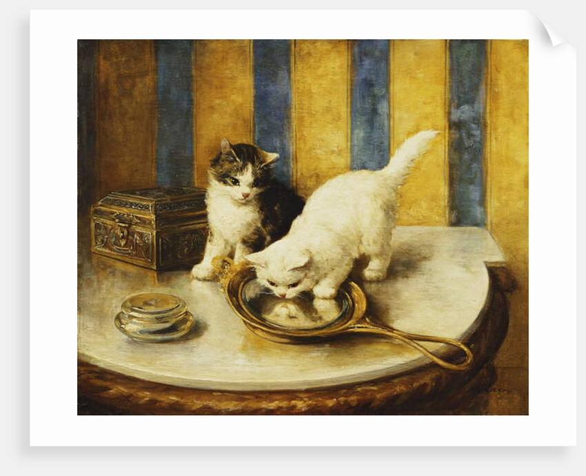 Feline Reflections by Marie Yvonne Laur