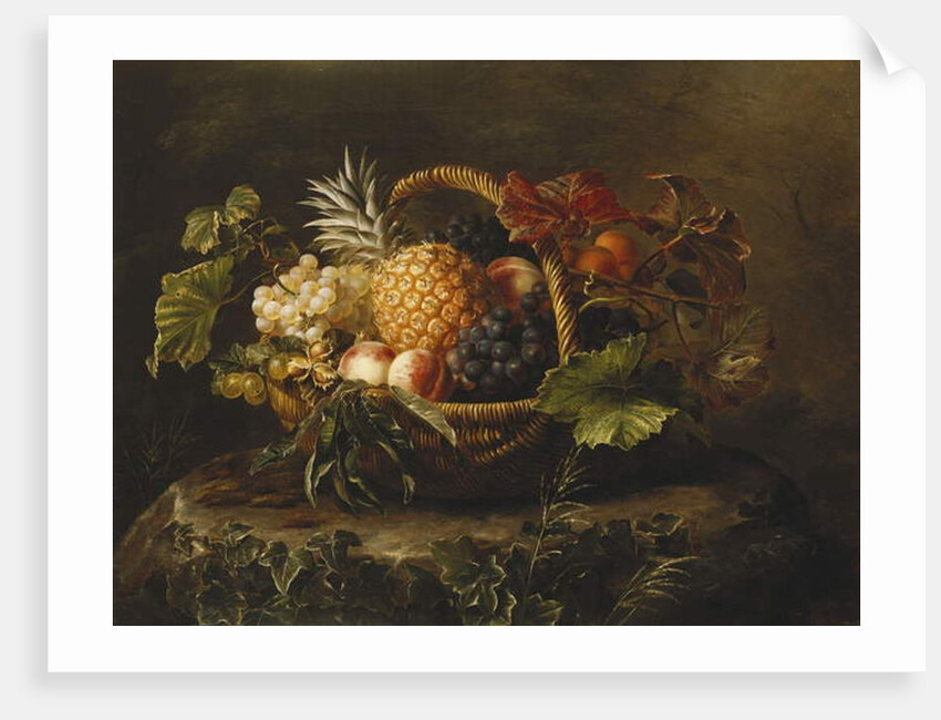 A Pineapple, Grapes, Peaches and Apricots in a Basket by Johan Laurents Jensen