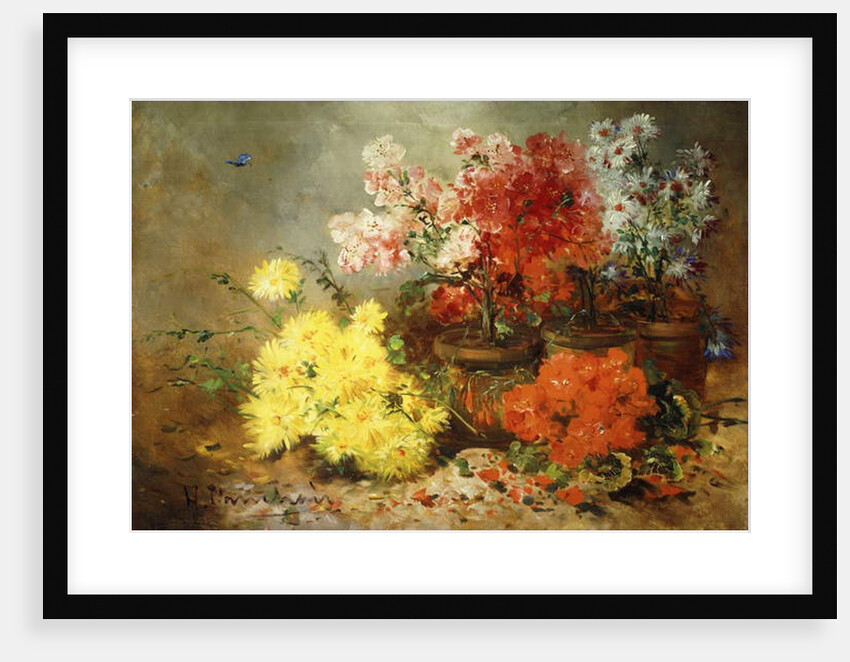Daisies, Begonia, and Other Flowers in Pots by Eugene Henri Cauchois