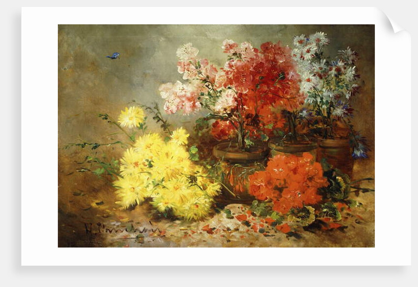 Daisies, Begonia, and Other Flowers in Pots by Eugene Henri Cauchois