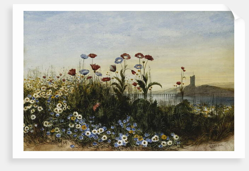 Ferry Carrig Castle, Co. Wexford, Seen Through a Bank of Wild Flowers by Andrew Nicholl