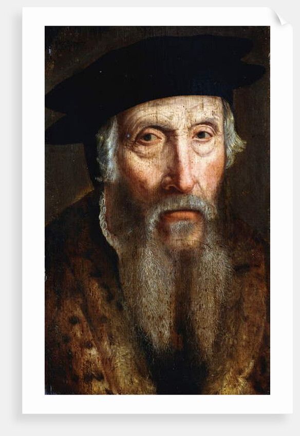 Portrait of a Bearded Man by John the Elder Bettes