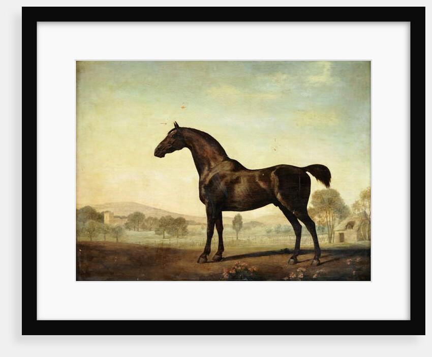 Sweetwilliam', a Bay Racehorse, in a Paddock, 1779 by George Stubbs