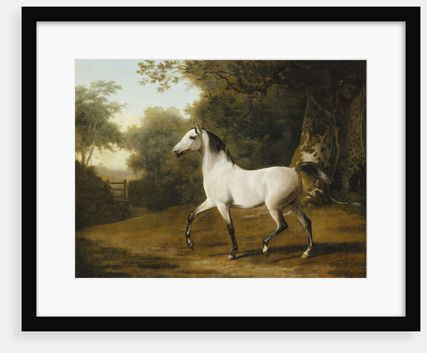 A Grey Arab Stallion in a Wooded Landscape by Jacques-Laurent Agasse