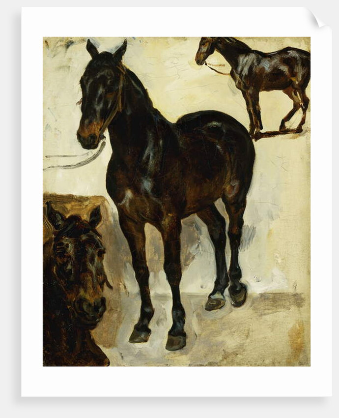 Three Studies of Horses; Trois Etudes de Chevaux, c.1823 by Ferdinand Victor Eugene Delacroix