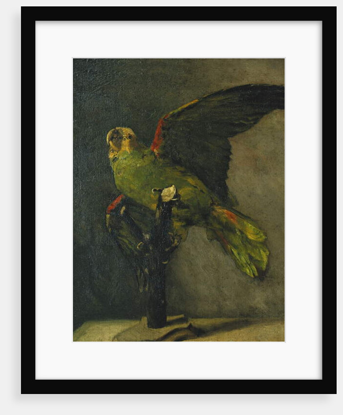 The Green Parrot; Le Perroquet Vert, 1885 by Vincent van Gogh