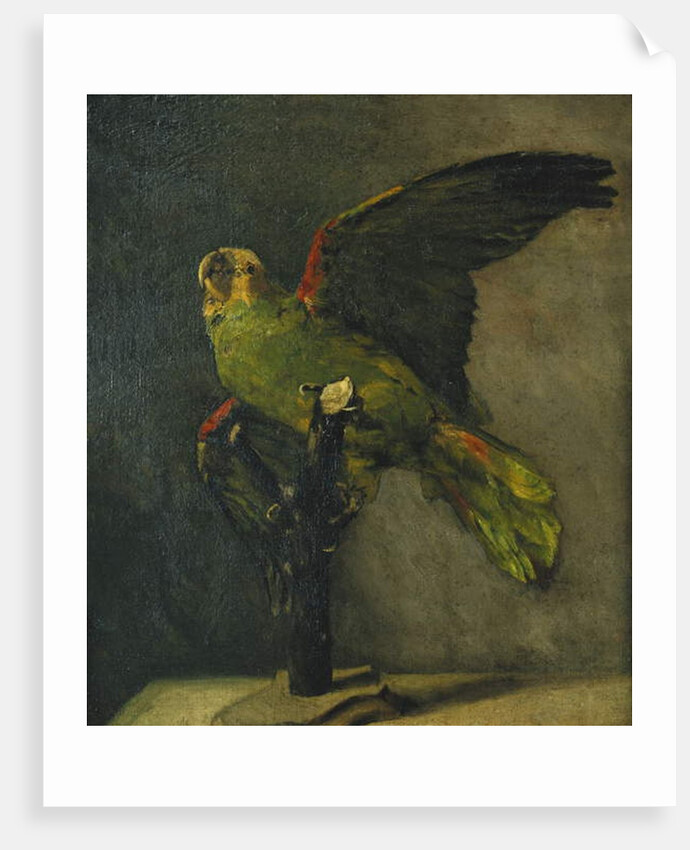 The Green Parrot; Le Perroquet Vert, 1885 by Vincent van Gogh
